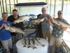 (09/17/2016) - Nice Striped Bass